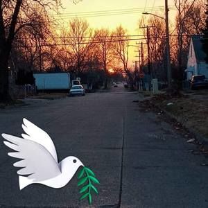 Meet your Posher, Ali